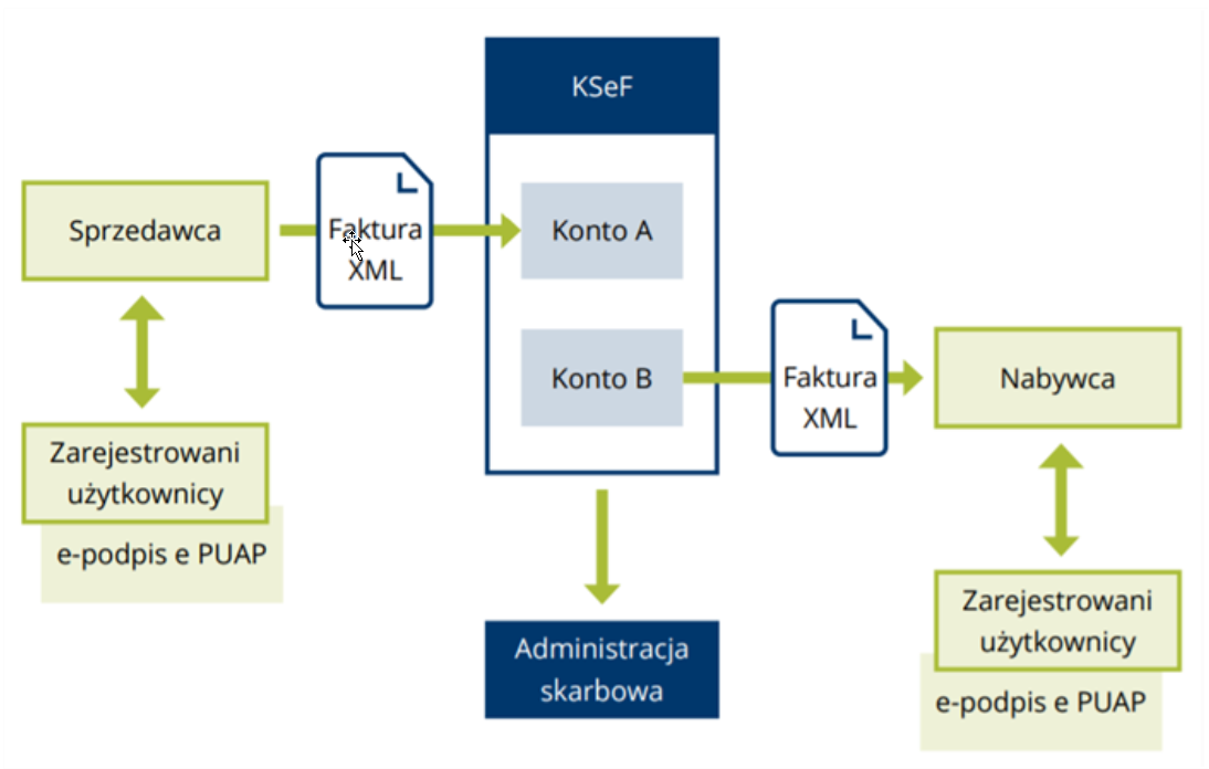 ksef drzewo.png